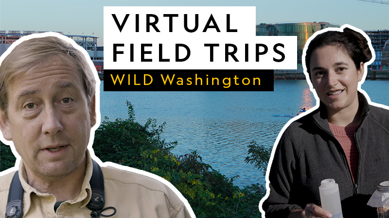 virtual field trips ocean